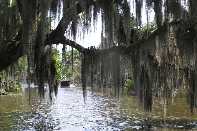 Small-Group Bayou Airboat Ride with Transport from New Orleans - The Guides Make or Break the Ride