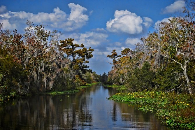 Small-Group Bayou Airboat Ride with Transport from New Orleans - Weather, Comfort, and What to Bring