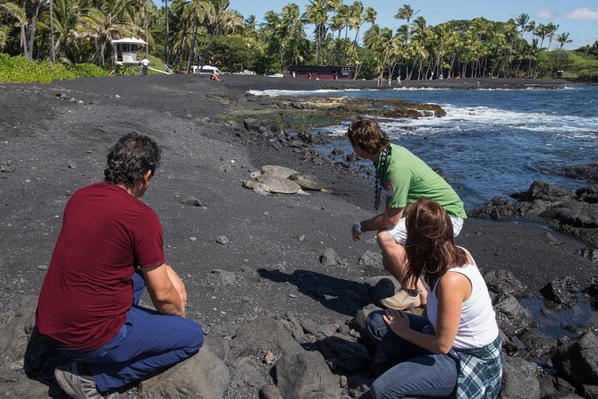 Small Group Big Island Twilight Volcano and Stargazing Tour - Meals, van time, and the real value of the $297.82 price