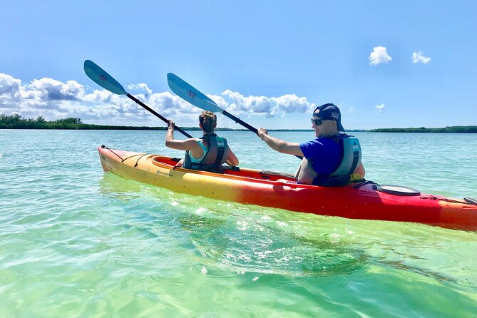 Small Group Kayak Tour of the Shell Key Preserve - Key points before you book