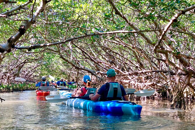 Small Group Kayak Tour of the Shell Key Preserve - Why Shell Key makes a good half-day outing