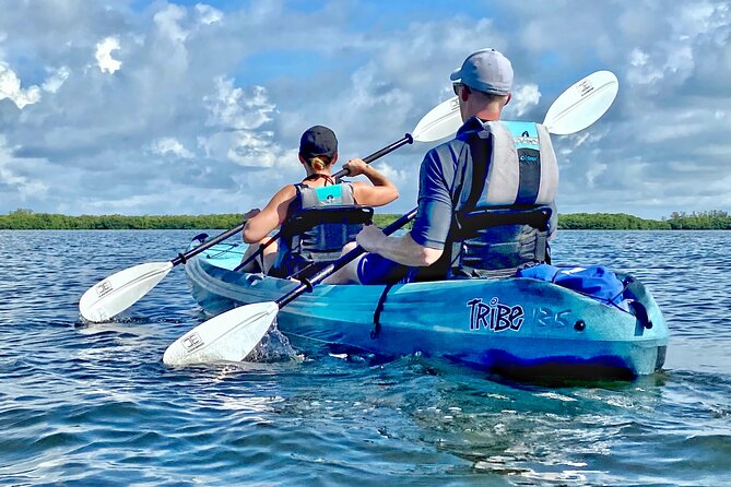 Small Group Kayak Tour of the Shell Key Preserve - Kayak choice, instruction, and physical effort