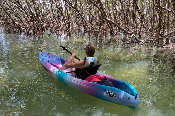Small Group Kayak Tour of the Shell Key Preserve - What to bring for comfort