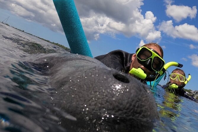 Small Group Manatee Snorkel Tour with In-Water Guide and Photographer - Why Crystal River is the right place for a manatee swim