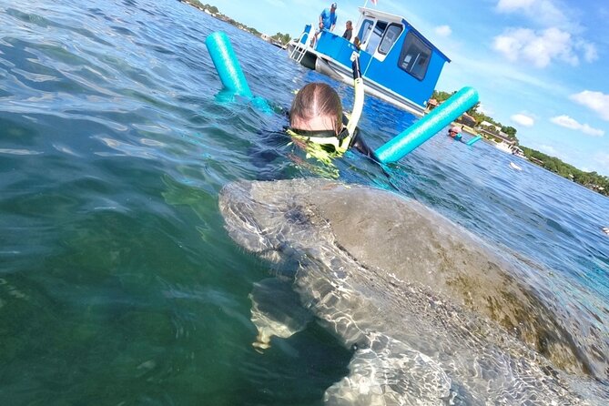 Small Group Manatee Snorkel Tour with In-Water Guide and Photographer - Finding the manatees in Kings Bay and the springs