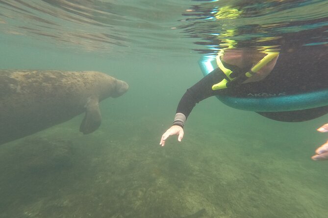Small Group Manatee Snorkel Tour with In-Water Guide and Photographer - Time in the water with the guide and photographer