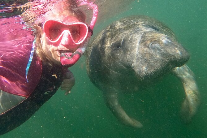 Small Group Manatee Snorkel Tour with In-Water Guide and Photographer - Check-in at 439 NE 1st Terrace
