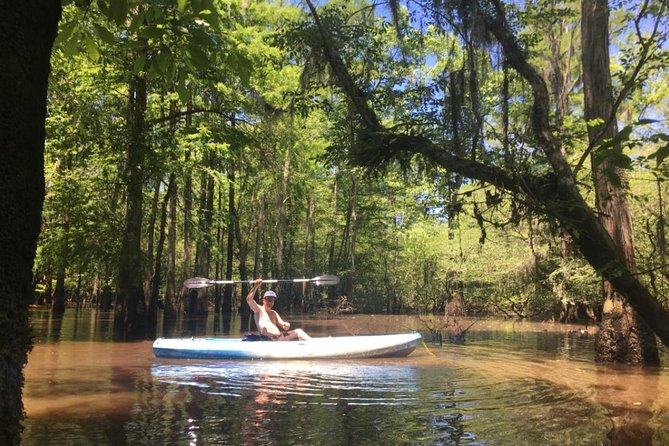 Small-Group Manchac Swamp Kayak Tour - From New Orleans streets to cypress-lined water