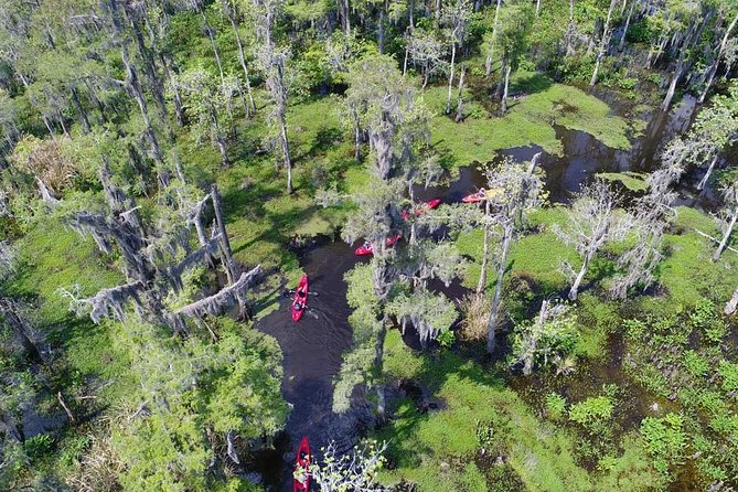 Small-Group Manchac Swamp Kayak Tour - Why a kayak reaches more of the swamp
