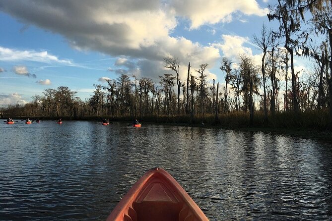 Small-Group Manchac Swamp Kayak Tour - Alligators, turtles, owls, and the luck factor