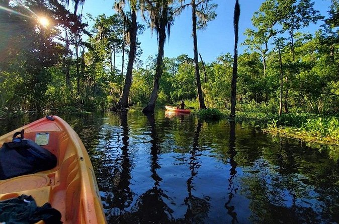 Small-Group Manchac Swamp Kayak Tour - The guide can shape the whole outing
