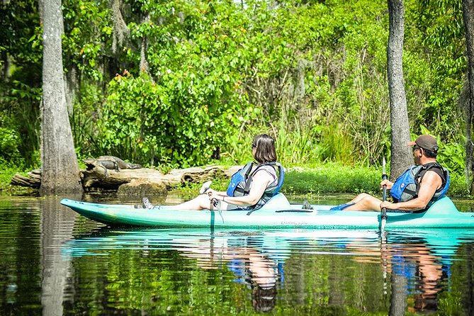 Small-Group Manchac Swamp Kayak Tour with Local Guide - Wild Louisiana Launch and the first paddle