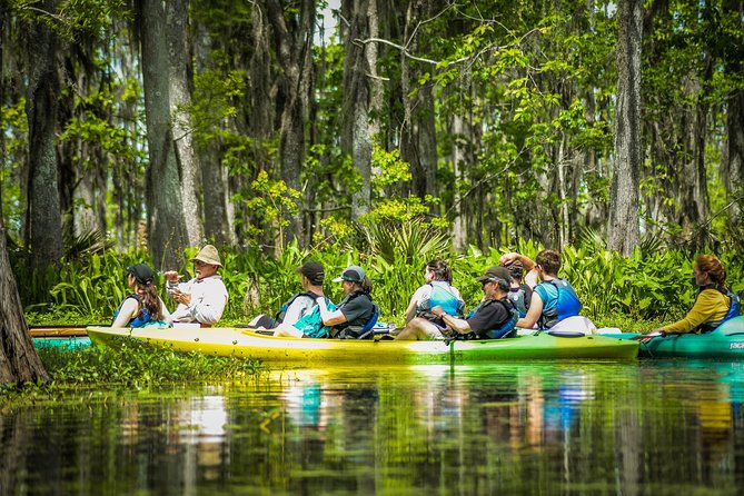 Small-Group Manchac Swamp Kayak Tour with Local Guide - Why the small group matters
