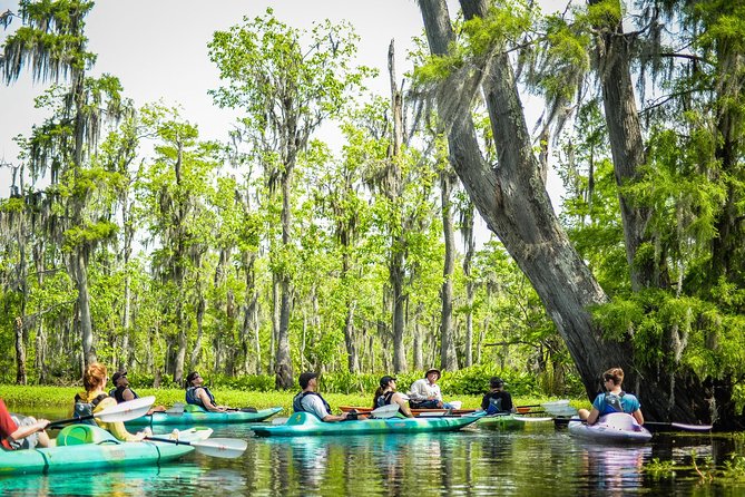 Small-Group Manchac Swamp Kayak Tour with Local Guide - Who should book the Manchac Swamp paddle?