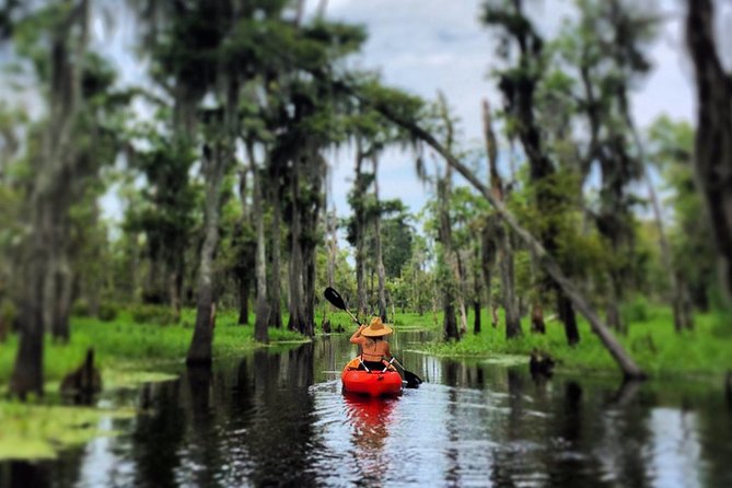 Small-Group Manchac Swamp Kayak Tour - The paddle lesson and first launch