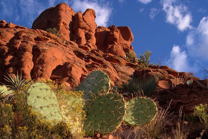 Small Group or Private Sedona and Native American Ruins Day Tour - Bell Rock, Airport Mesa, and the best photo stops