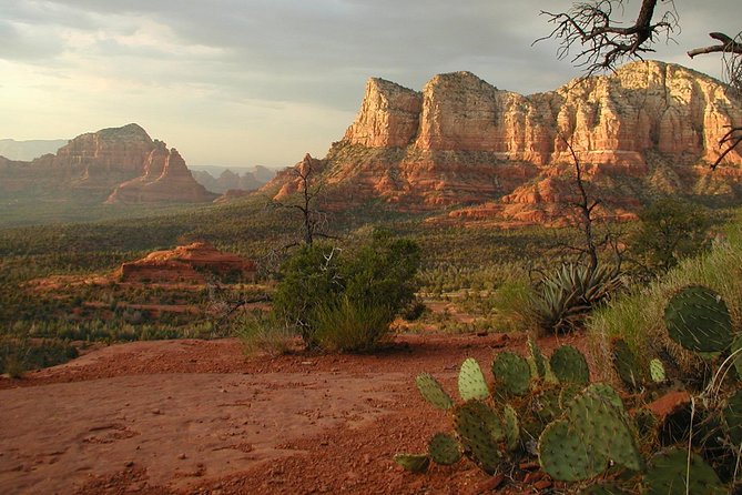 Small Group or Private Sedona and Native American Ruins Day Tour - Montezuma Castle and the Sinagua cliff rooms