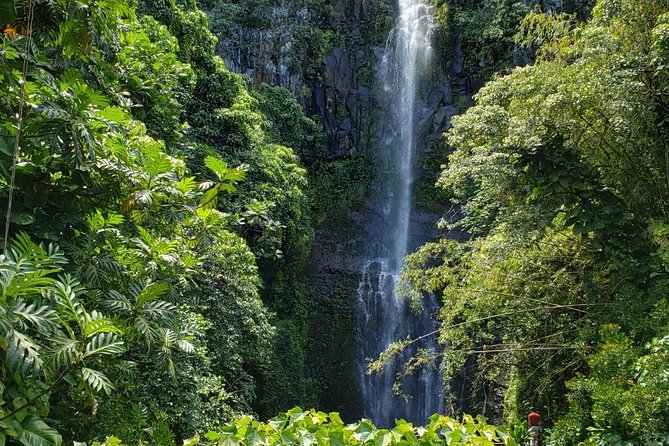 Small-Group Road to Hana Adventure Tour with Pickup & Lunch - Five details that shape the day