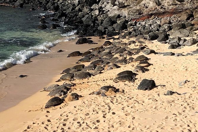 Small-Group Road to Hana Adventure Tour with Pickup & Lunch - What the $209.99 price really covers