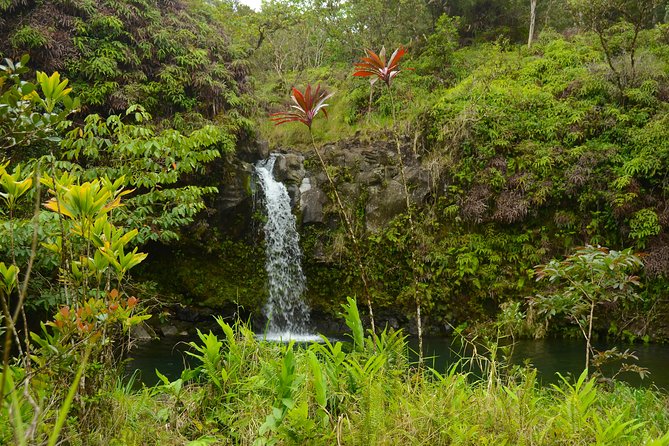 Small-Group Road to Hana Luxury Tour - Keʻanae Point, taro fields, and lava coast