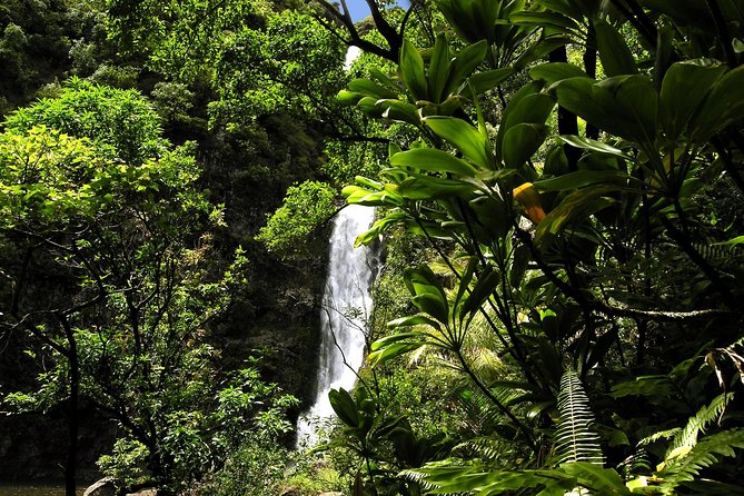 Small-Group Road to Hana Luxury Tour - The guide makes or breaks the day