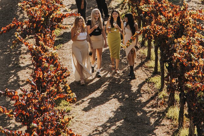 Small Group: Ultimate Napa & Sonoma Wine Tour from San Francisco - The First Winery in Napa