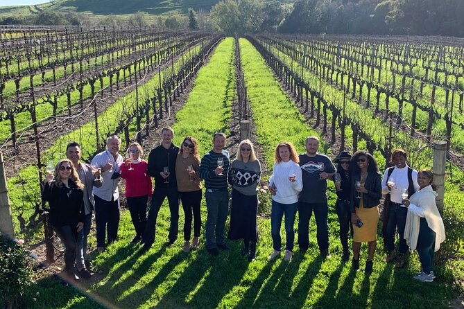 Small Group: Ultimate Napa & Sonoma Wine Tour from San Francisco - Two Free Hours Around Sonoma Plaza
