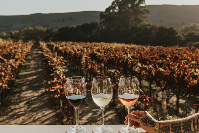 Small Group: Ultimate Napa & Sonoma Wine Tour from San Francisco - Is $179 a Good Value?