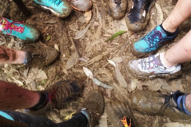 Small Group Waterfall and Rainforest Hiking Adventure on Maui - Starting at Kahului Park and Ride at 9:30 a.m.