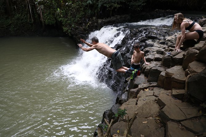 Small Group Waterfall and Rainforest Hiking Adventure on Maui - Waterfalls, swimming pools, and optional rock jumps