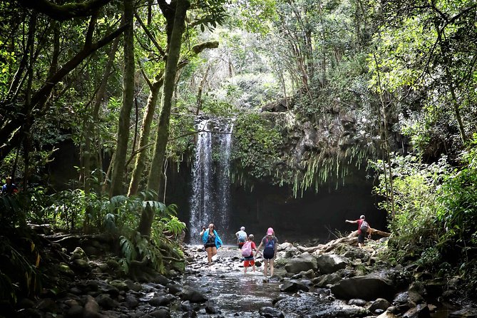 Small Group Waterfall and Rainforest Hiking Adventure on Maui - The Road to Hana sets the tone