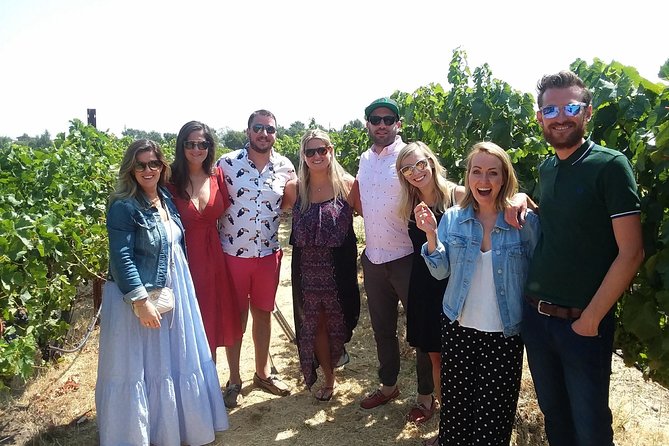 Small-Group Wine Country Tour from San Francisco with Tastings - Three winery visits in Sonoma Valley