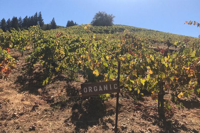 Small-Group Wine Country Tour from San Francisco with Tastings - Sausalito and the final Golden Gate views