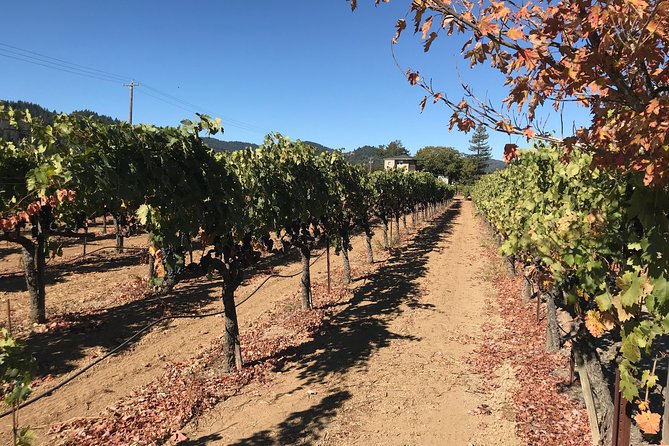 Small-Group Wine Country Tour from San Francisco with Tastings - What $179 buys you