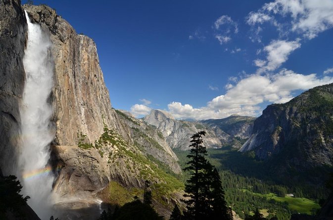 Small Group Yosemite and Giant Sequoias Day Trip from San Francisco - Tuolumne Grove and the giant sequoia walk