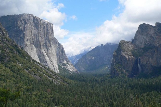 Granite walls and pine forest on the floor of Yosemite Valley, California