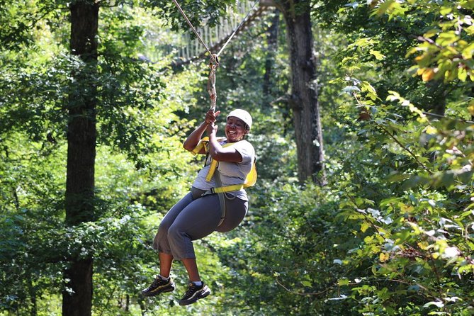 Small-Group Zipline Tour in Hot Springs - Ten Lines Through Old-Growth Forest
