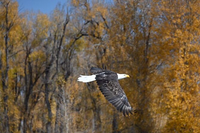 Snake River Scenic Float - Comfort, Clothing, and Conditions