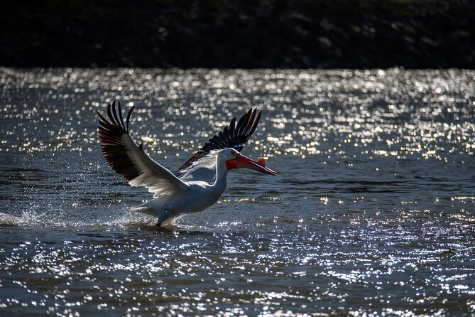 Snake River Scenic Float - Is the Three-Hour Schedule Worth $120?