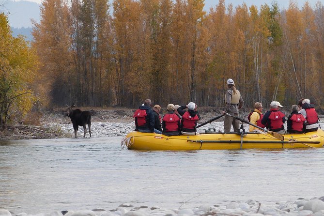 Snake River Scenic Float Trip with Teton Views in Jackson Hole - Families, First-Time Rafters, and Older Adults