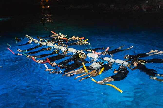 Snorkel with Manta Rays Guaranteed - Why Big Island’s manta ray night is so unusual