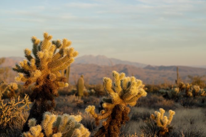 Sonoran Desert Jeep Tour - Leaving Scottsdale for Tonto National Forest