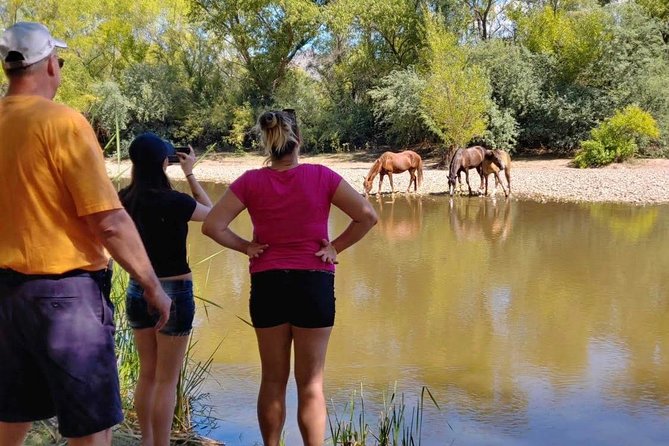 Sonoran Desert Jeep Tour - Guides Make the Difference