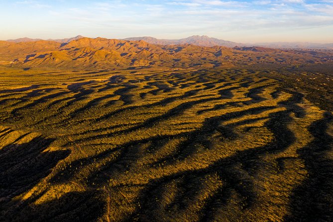 Sonoran Desert Jeep Tour - Is $195 a Fair Price?