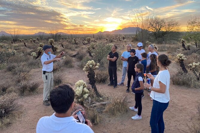 Sonoran Desert Jeep Tour at Sunset - Pinnacle Peak and the North Scottsdale view