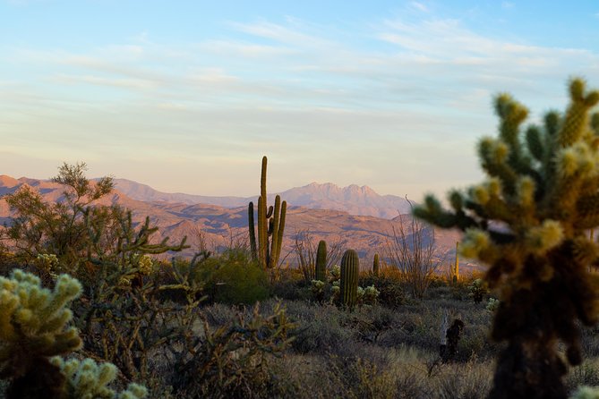Sonoran Desert Jeep Tour at Sunset - Who should book this experience?