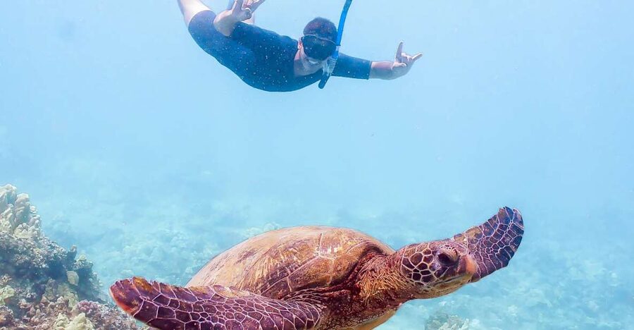 South Maui: Molokini Snorkeling Adventure - Key details before you book