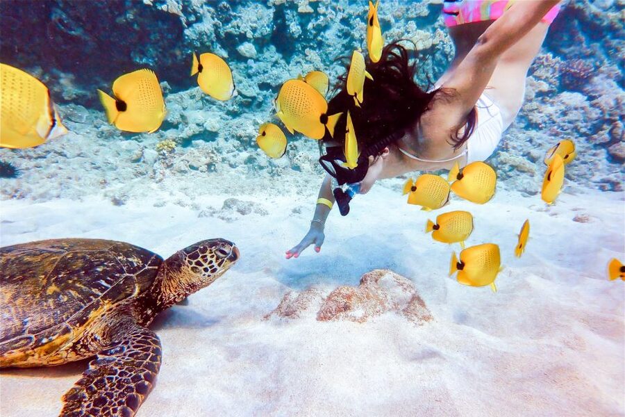 South Maui: Molokini Snorkeling Adventure - The return ride through the channel