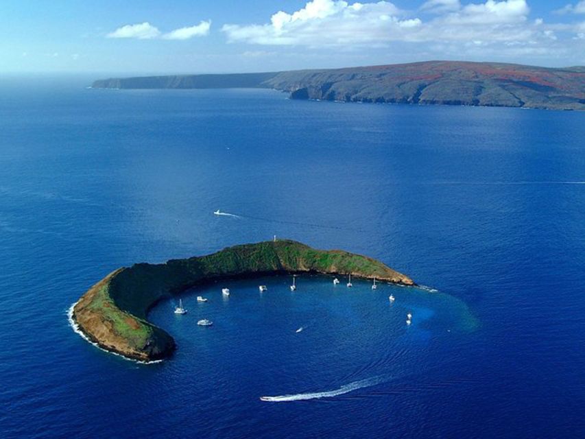 South Maui: Snorkel to Coral Gardens or Molokini Crater - Coral Gardens: a strong backup, with variable sea life