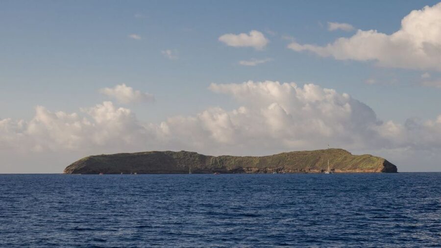 South Maui: Snorkel to Coral Gardens or Molokini Crater - A hotdog lunch and low-cost drinks